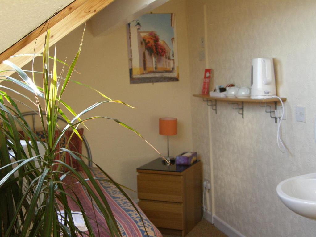 Leonardos Guest House Swansea Rom bilde